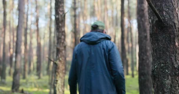 Von hinten erschossen Mann warm gekleidet mit Helm auf dem Kopf spaziert durch den Wald zwischen Bäumen, Pilzsammler kam, um zu ernten, auf der Suche nach Steinpilzen, Pfifferlingen, Schmetterlingen, halten Korb — Stockvideo