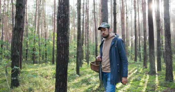 Młody człowiek zbieracz grzybów spaceruje po nieznanym lesie szukając grzybów stoi pośrodku drzew z koszem i telefonem, próbując uzyskać zasięg, brak sygnału, kompas, nawigacja, zagubiony, nie może znaleźć drogi wyjścia — Wideo stockowe