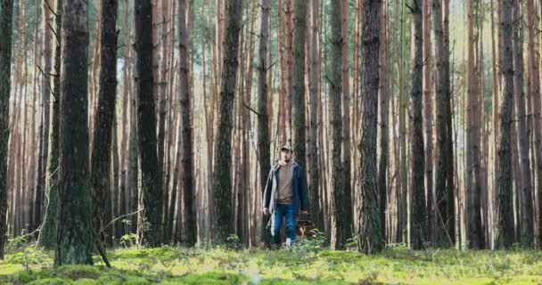 Ο άνθρωπος ντυμένος ζεστά με κράνος στο κεφάλι περπατά μέσα στο δάσος ανάμεσα στα δέντρα, ο συλλέκτης μανιταριών ήρθε να θερίσει, ψάχνοντας για μανιτάρια σκύβει κάτω από τα πόδια κοντά στο έδαφος διαλέγει ένα boletus — Αρχείο Βίντεο