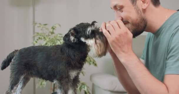 Mand med skæg og mostashes rører yorkshire terrier hoved med panden, vipper hovedet tilbage og kæledyr det Hvid væg en grøn blade i baggrunden – Stock-video
