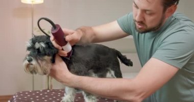 Sakallı ve bıyıklı adam Yorkshire teriyeri ve masanda duran bir köpek.