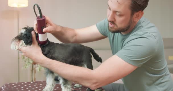 O homem com barba e bigodes é clipes de um terrier yorkshire com um clipper Dog fica na mesa — Vídeo de Stock