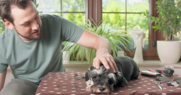 Sakallı ve bıyıklı adam evcil bir Yorkshire teriyeri. Kırpma makası sağ elinde. Köpek masanda yatıyor. — Stok video