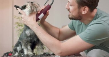 Sakallı ve bıyıklı adam Yorkshire teriyeri ve masanda oturan kırpıcı köpeği. Arka plandaki duvar.