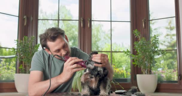 Sakallı ve bıyıklı adam kırpıcı köpeği olan Yorkshire teriyeri masanda oturuyor, makası ve eklentilerin olduğu yerde ev bitkileri ve arka planda bir pencere var. — Stok video