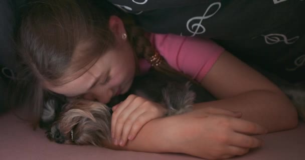 Lachend schattig tiener blond meisje verbergt zich onder de deken in haar bed, 's nachts, en huisdieren en knuffels haar yorkshire terriër, praten met het — Stockvideo