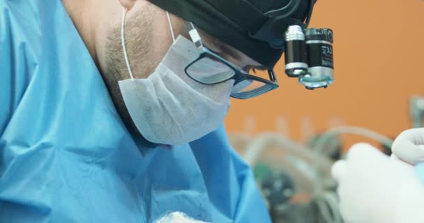 Visage rapproché du vétérinaire masculin, en lunettes, gants blancs, casquette et tenue chirurgicale, alors qu'il opère la jambe arrière d'un chien anesthésié pendant la chirurgie Mains en gants d'assistante féminine — Video
