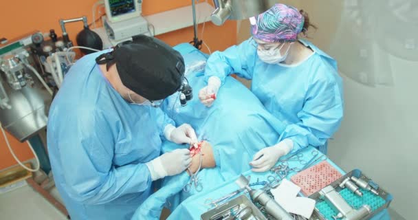 トップカメラショット男性獣医師,眼鏡で,白い手袋,キャップと外科服,彼は手術中に犬の足を操作しながら、女性アシスタントは、外科的ドレープと血を保持することによって彼を支援します — ストック動画
