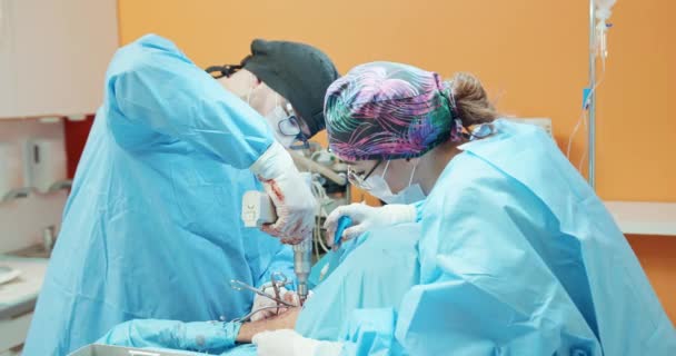 男性獣医師、眼鏡、白い手袋、キャップ、手術服で、手術中に麻酔犬の背脚を操作する外科ドリルを使用している間女性アシスタントが彼を支援する — ストック動画