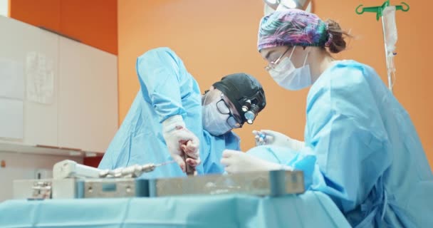 Homme vétérinaire, dans des lunettes, gants blancs, casquette et en tenue chirurgicale, utilise tournevis chirurgical tout en opérant la jambe arrière d'un chien anesthésié pendant la chirurgie assistante féminine l'aider par — Video