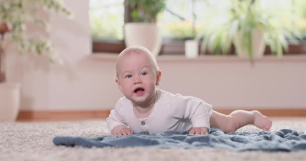 Közelről kisbaba mászik a szőnyegen és takaró a padlón, emelkedik mind a négy, és finom esik az arcára Fehér fal, ablak és zöld növények a háttérben — Stock videók