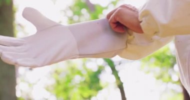 Beyaz koruyucu takım elbiseli erkek arıcının sağ eli beyaz koruyucu eldiven giyer ve eldivenin ellerinin iyi olup olmadığını kontrol eder. Ormandaki ağaçların arasında kalır. Sol el