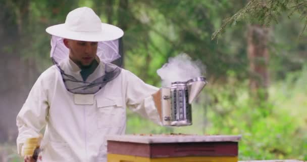 Joven, barbudo, apicultor masculino en traje blanco de protección se acerca a la colmena, y pone el fumador, cepillo, y guantes de protección en él, mirando el humo por un tiempo Apiario en el medio — Vídeos de Stock