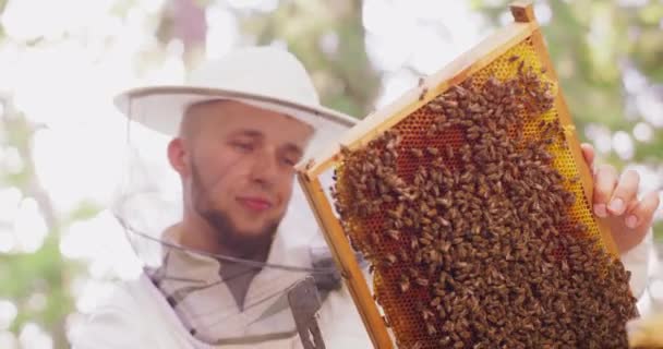 Gezicht van jonge mannelijke bebaarde imker in wit beschermend pak, glimlachend, een beetje uit beeld Hij inspecteert het frame met honingraten en bijen die het voor zich houden Frame die hij op de eerste vasthoudt — Stockvideo