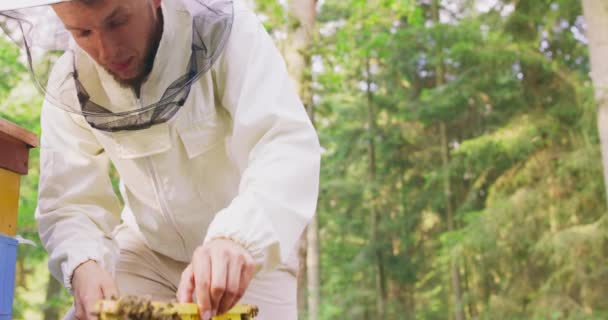 Junge männliche bärtige Imker in weißen Schutzanzügen, die hinter dem Stock bleiben, mit Bienenstock Werkzeug in der Hand, nimmt den Bienenstock Rahmen aus dem Stock und dreht ihn inspizieren Es gibt eine Menge Waben — Stockvideo