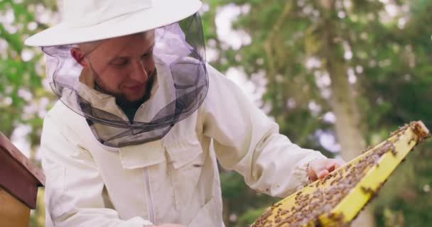 Joven apicultor barbudo con traje protector blanco, permaneciendo detrás de la colmena, con la herramienta de colmena en la mano, convierte el marco de la colmena inspeccionándolo Hay un montón de panales llenos de miel y cera — Vídeos de Stock