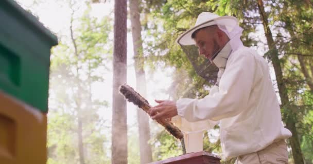Joven hombre barbudo apicultor en traje protector blanco, se queda entre las colmenas, y se convierte marco de la colmena inspeccionarlo Hay un montón de panales y abejas en él Algunas de las abejas están en el aire Fumador está encendido — Vídeos de Stock