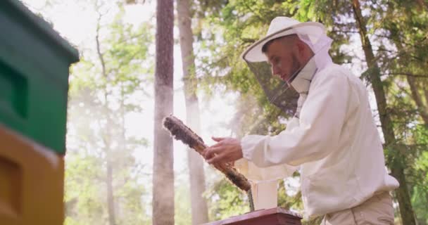 Junge männliche bärtige Imker in weißen Schutzanzug, bleibt zwischen den Bienenstöcken und dreht Bienenstock Rahmen inspizieren Es gibt eine Menge Waben und Bienen auf ihm Einige Bienen sind in der Luft Smoker ist auf — Stockvideo