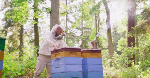 Ung man skäggig biodlare i vit skyddsdräkt, stannar i skogen bikupa bakom två kupor, och sätter locket på närmaste en Det finns en rökare på locket av andra en kupa Några bin — Stockvideo
