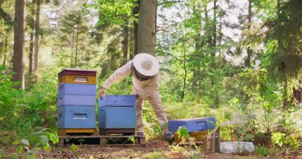 Junge männliche bärtige Imker im weißen Schutzanzug, zieht den Teil des Bienenstocks mit Bienenstockrahmen aus, legt ihn auf den Stock, nimmt dann den Pinsel auf den Stock zur Seite und fegt die Bienen von der Spitze des Bienenstocks. — Stockvideo