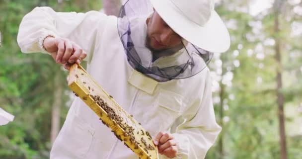 Joven apicultor barbudo con traje protector blanco, se queda entre las colmenas, y convierte el marco de la colmena con una gran cantidad de abejas mientras lo inspecciona Algunas de las abejas están en el aire El fumador está en la colmena detrás — Vídeos de Stock