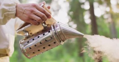 Ormanın ortasında Apiary beyaz koruyucu takım elbiseli genç erkek sakallı arıcı, bir sürü arı ve bal petekleri ile bir arı kovanı çerçevesi alır, balmumu, ve bal, kovandan,