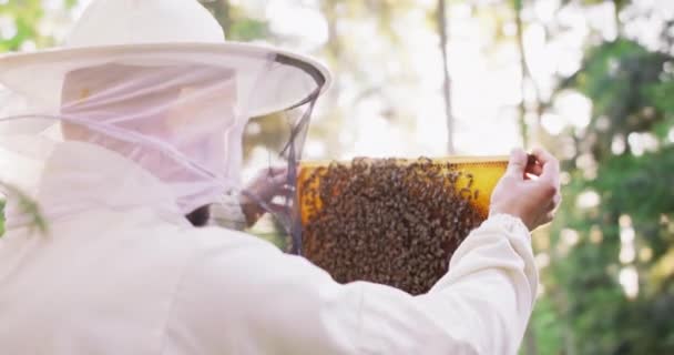 Joven apicultor barbudo con traje protector blanco se queda atrás a la cámara sostiene y gira un marco de colmena con muchas abejas itinerantes, y panales con cera y miel, mientras lo inspecciona — Vídeo de stock