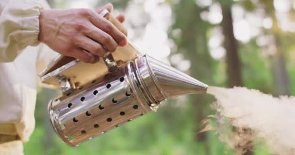 Apiary in the middle of the forest Young male bearded beekeeper in white protective suit, bows and takes a beehive frame with a lot of bees, and honeycombs, and wax, and honey, from the hive, holds up — Stock Video