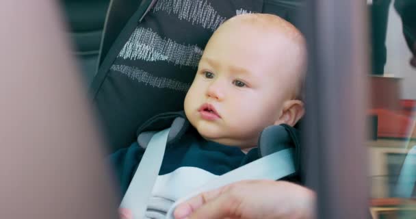Κοντινό πλάνο αγοράκι που κάθεται στο κάθισμα του αμαξιού μέσα στο αυτοκίνητο Πατέρες χέρια που δένουν τις ζώνες ασφαλείας Εικόνα μέσα από την ανοιγμένη πόρτα Αργή κίνηση — Αρχείο Βίντεο