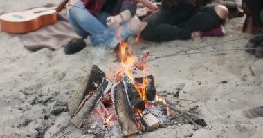 Kumlu kumsalda oturup bira içen arkadaşlarla kamp ateşinin yanında gitar çalan içki içen genç erkek ve kadınların yakın görüntüsü.