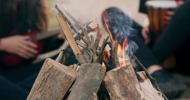 Fogata llama primer plano en un picnic en la naturaleza carbones ardientes de leña de pino Camping Cocina comida en un concepto de freír carne de fuego abierto Fin de semana con amigos en el bosque con camping — Vídeos de Stock