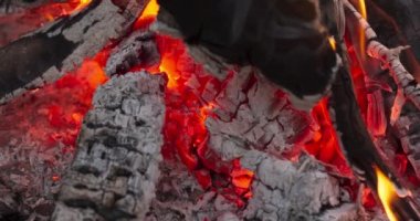 Şenlik ateşi, doğada piknik yaparken, çam ağacının kömürlerini yakar, kamp yapar, açık ateşte yemek pişirir, kavramları kavrar, arkadaşlarıyla ormanda kamp yapar.