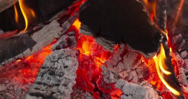Fényes parázs közelsége a szabadban lévő tábortűzben — Stock videók