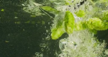 Suya Düşen Yeşil Hops