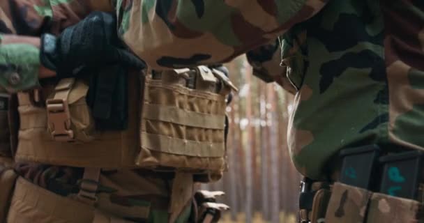 A parancsnok ellenőrzi az egyenruha felszerelését és a katonák taktikai mellényének helyességét, mielőtt akcióba lép. A meleg fenyőerdő a háttér. — Stock videók