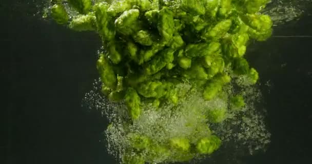 Zelené chmel padající do vody
