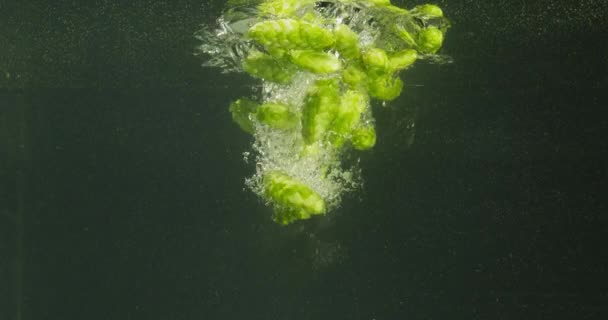 Grüner Hopfen fällt ins Wasser — Stockvideo