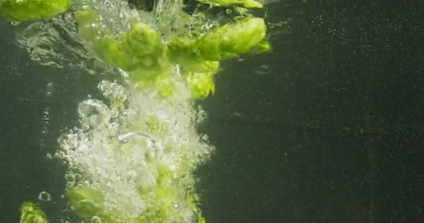 Zelené chmel padající do vody — Stock video