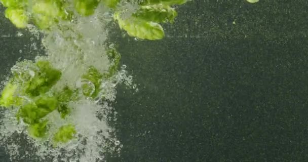 Grüner Hopfen fällt ins Wasser — Stockvideo