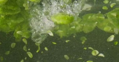 Suya Düşen Yeşil Hops