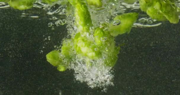 Green Hops Falling Into Water — Stock Video