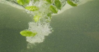 Suya Düşen Yeşil Hops