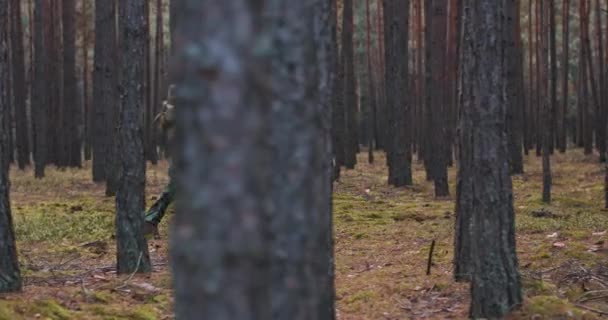 Tam teçhizatlı dört askerden oluşan bir ekip, Yoğun Orman 'dan Düzen İçinde Harekete Geçmeyi Hedefleyen Bir Keşif Askeri Misyonu. — Stok video