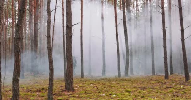 Trupp av fyra fullt utrustade soldater i Kamouflage på en spaning militära uppdrag gevär redo att skjuta dem rör sig i bildandet genom tät kall skog — Stockvideo