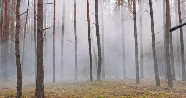 Fullt utrustade soldater bär kamouflage enhetlig attack fiendens gevär i skottläge militär operation i aktion trupp kör i Bildning genom tät skog vid middagstid — Stockvideo