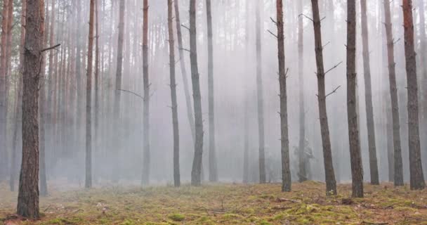 Soldados totalmente equipados vestindo uniformes de camuflagem atacando rifles inimigos em posição de fogo Operação militar em ação Esquadrão Correndo em formação através da floresta densa ao meio-dia — Vídeo de Stock