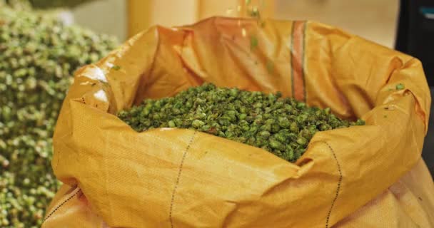 Shoveling the dried hop cones into a transport bag — Stock Video