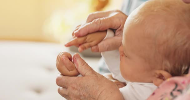 El hombre sostiene las manos de los niños con sus manos y le muestra sus dedos, se gira, — Vídeos de Stock