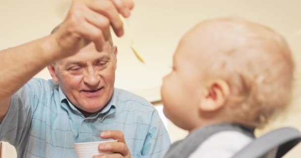 Радостный дедушка сидит за столом рядом с внуком, ребенок сидит в кресле для кормления, кормит старших — стоковое видео