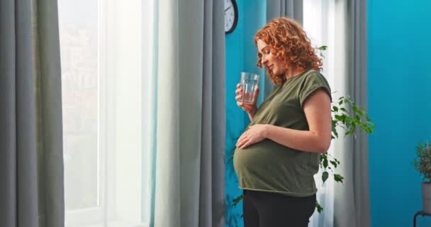 Mladá budoucí máma stojí vedle okna obývacího pokoje a drží sklenici vody. Dívka pije — Stock video